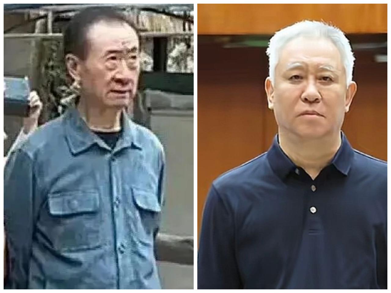 原来如此许家印狱中发福，王建林还债消瘦！这就是王健林背后家族的智慧！同样巨