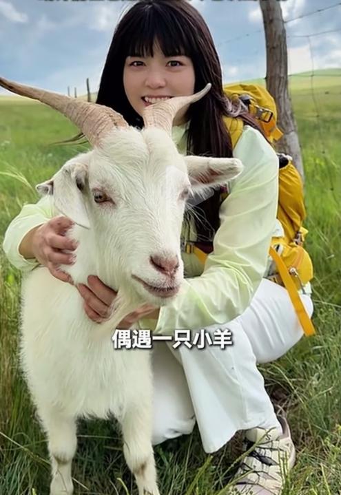 茫茫草原只认准她一人，小羊含泪追车不肯放手，姑娘千里回头带走它。今年1月底