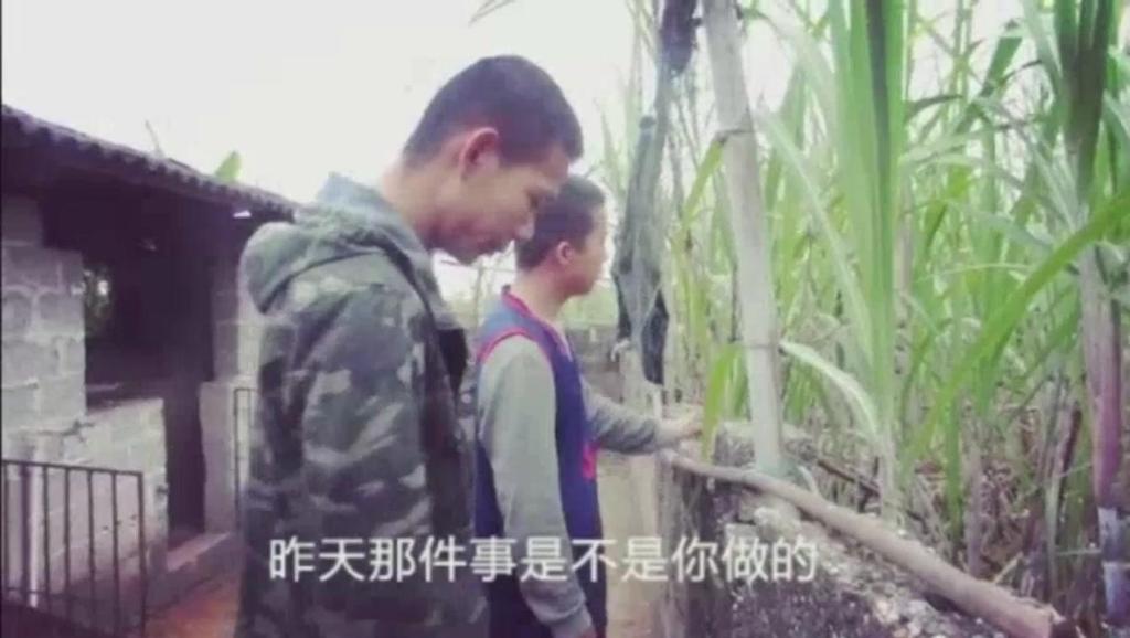 gdp发展动态视频_国内gdp发展图