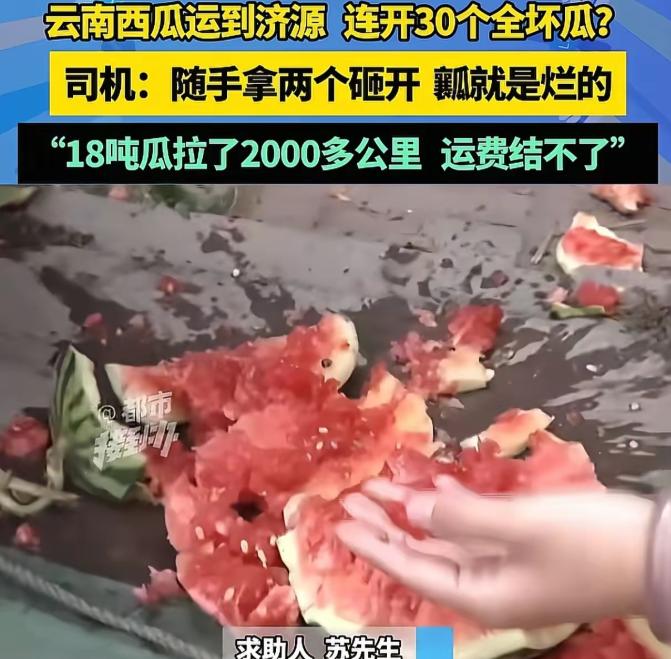 男子从云南运了18吨西瓜到济源，可收货方一检查:连开了30个瓜，外面都是好好的，