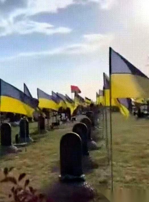 战场清理，翻开阵亡士兵的口袋，结果发现一堆哥伦比亚、波兰、英国的身份证。我跟你