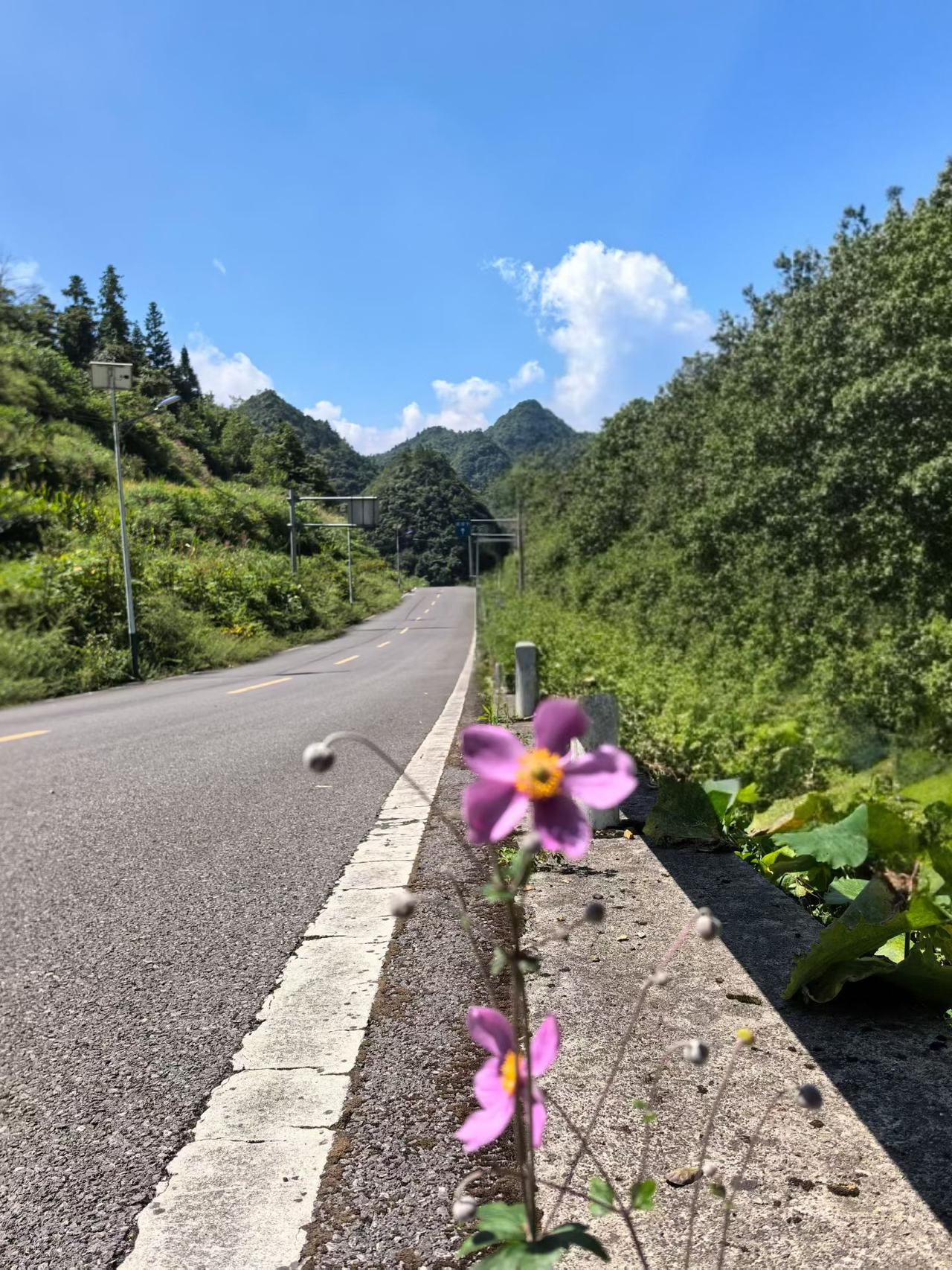 时间过得真快，到这大山深处避暑已愉快的度过了3个月。在大山深