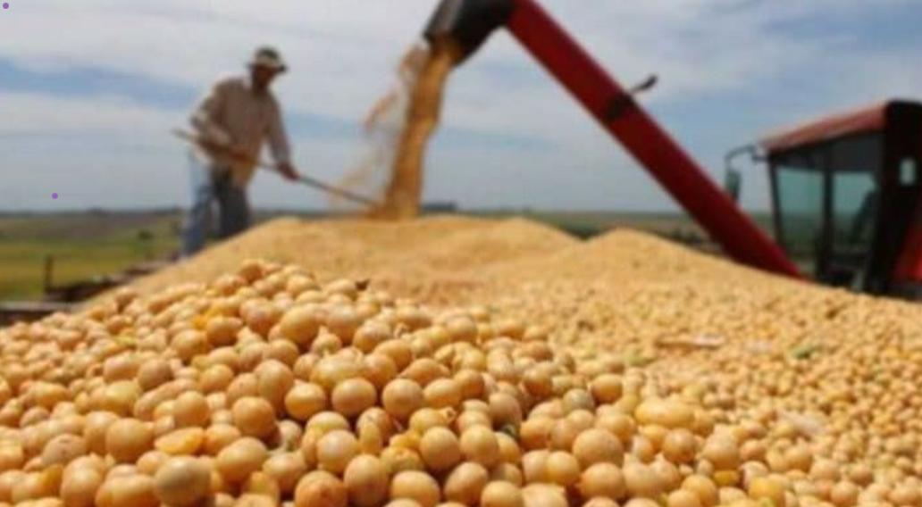 最近，中国和美国在吉隆坡举行了新一轮贸易会谈，在美国百般请求下，中方终于同意采购