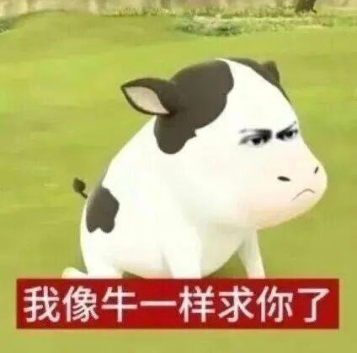 你们。都来。别逼我求你们。。新的两个👍🏻🔗​​​这个🍎继续​​​