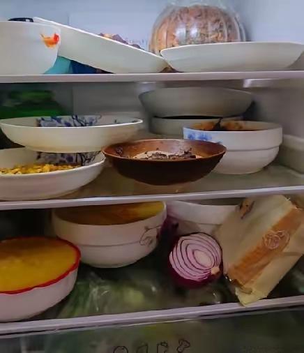 看见这冰箱你还有食欲吗