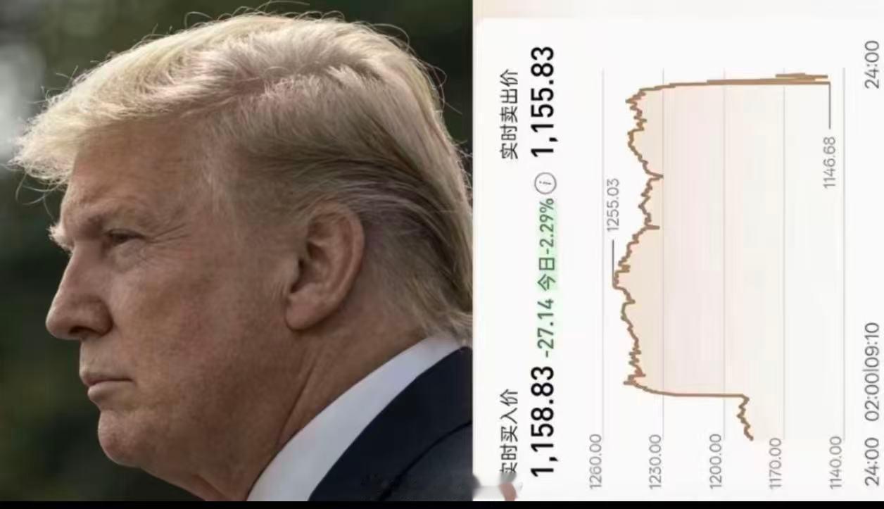 小老头真有意思。