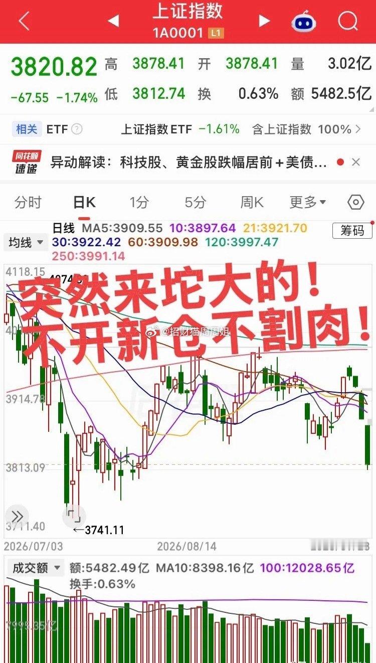 上午算力硬件、光模块、半导体、贵金属等方向跌幅居前，下午如果继续放量杀跌，说明资金仍在出逃，不要盲目