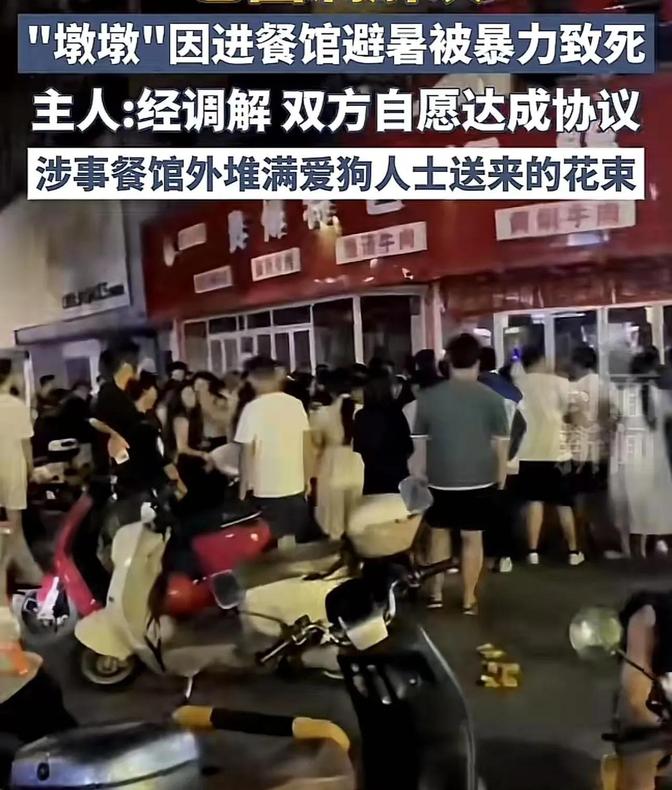 这事闹得挺大的！永州那边有个金毛跑进饭店蹭空调，结果被店员给打死了。狗主人