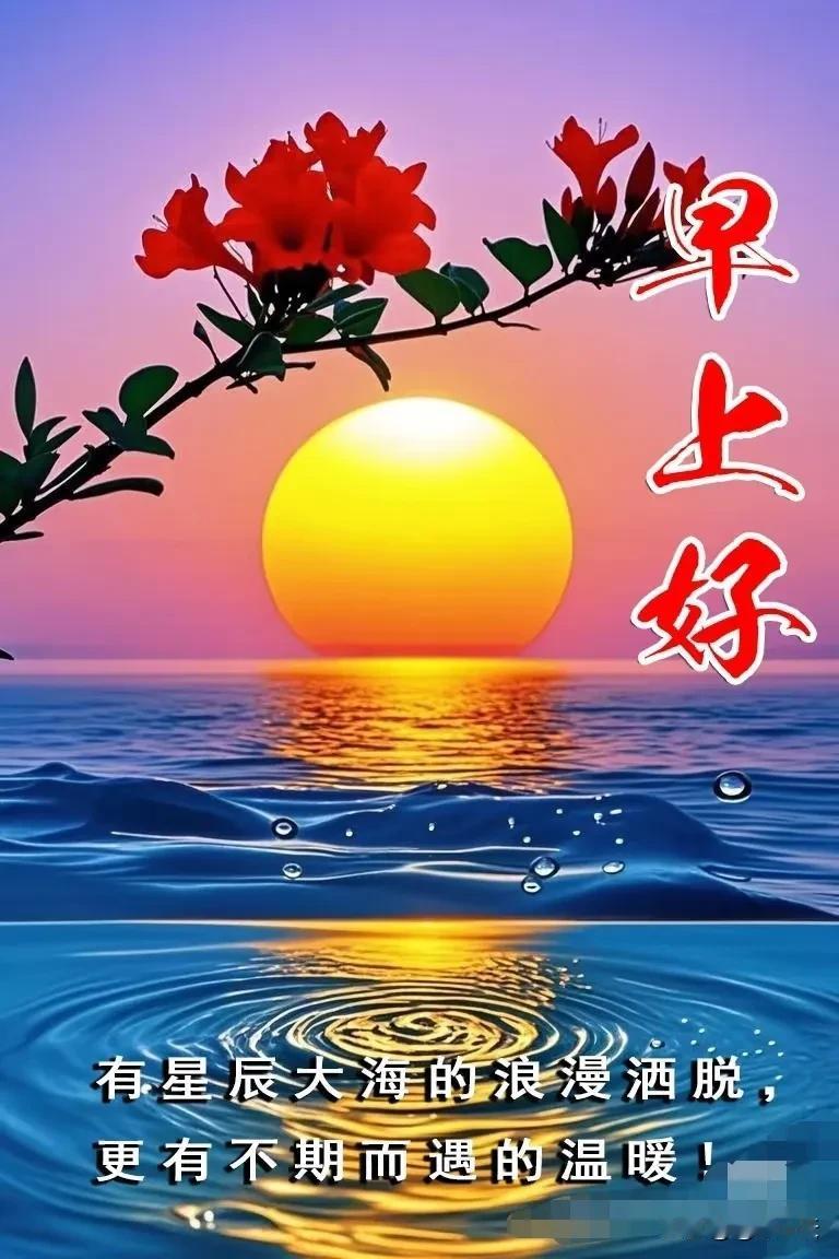 太阳初照映纱窗鸟唱枝头声飞扬快乐平安福运到早安时刻送吉祥[比心][比心]