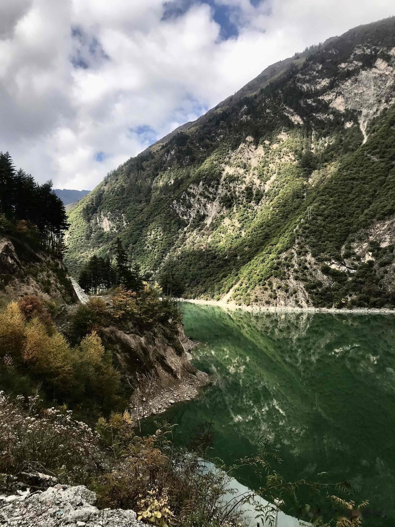 “九若公路”是省道445线，是一条连接四川省阿坝州九寨沟县和若尔盖县的省级公路。
