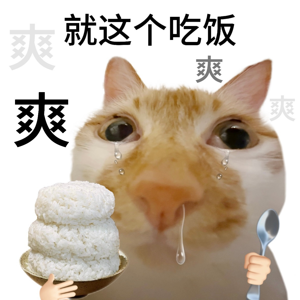 现在的年轻人太拼了现在年轻人太拼了，不仅给自己拼还给宠物拼，听说宠物医院体检也