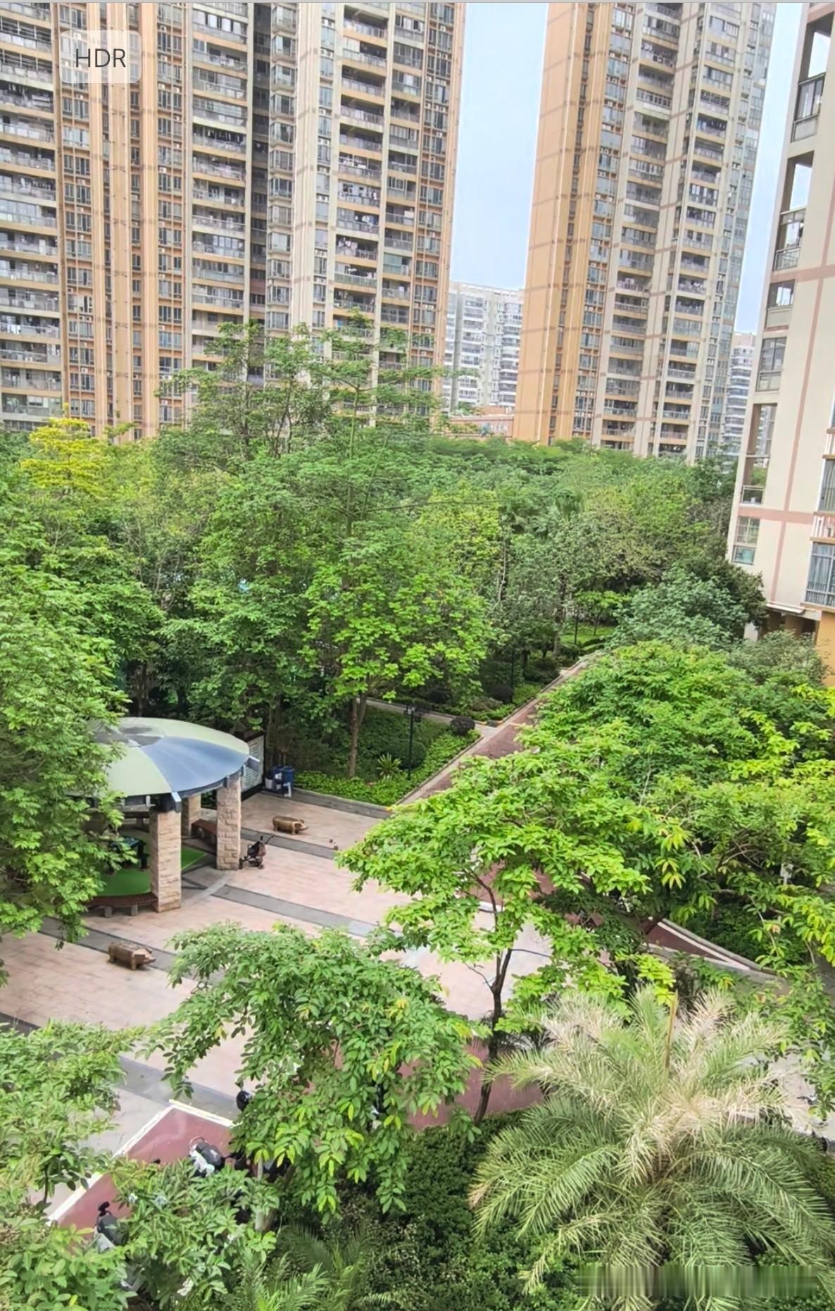 （深圳楼市大事件）第一：本月截止到2026年5月24日，深圳新房共
