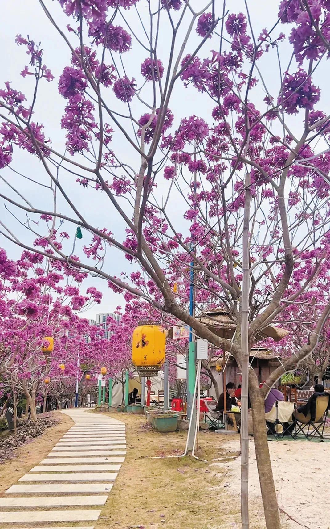 上联：桃花树下赏春光下联：