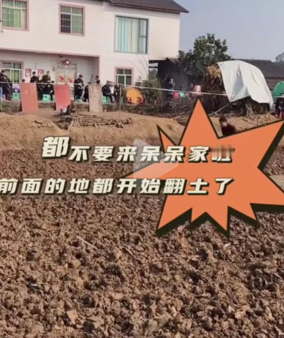 呆呆这波流量只接了一半，后面不接啦？应该继续办下去，持续到正月十五，那泼天的富贵