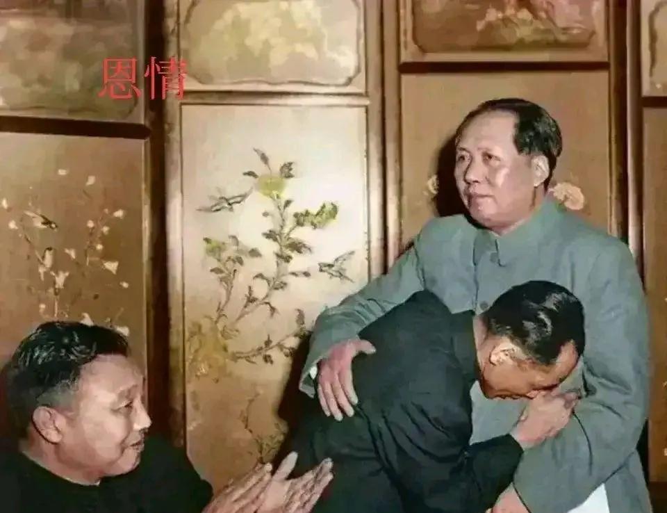 诗人热泪凝成首枚同心章！”1956年国宴60秒→五十六朵花永绽胸前【历史瞬间】