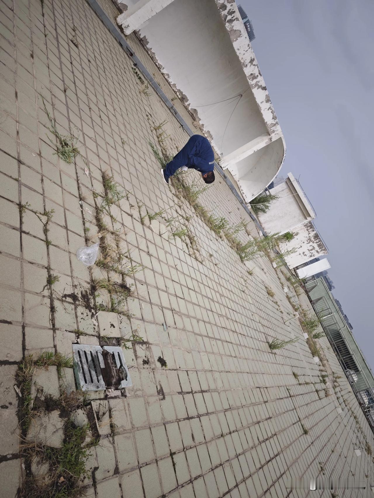 领导让拔草，你是电工，可以拒绝吗？这个问题很多电工都不好给出答案吧。今天我们