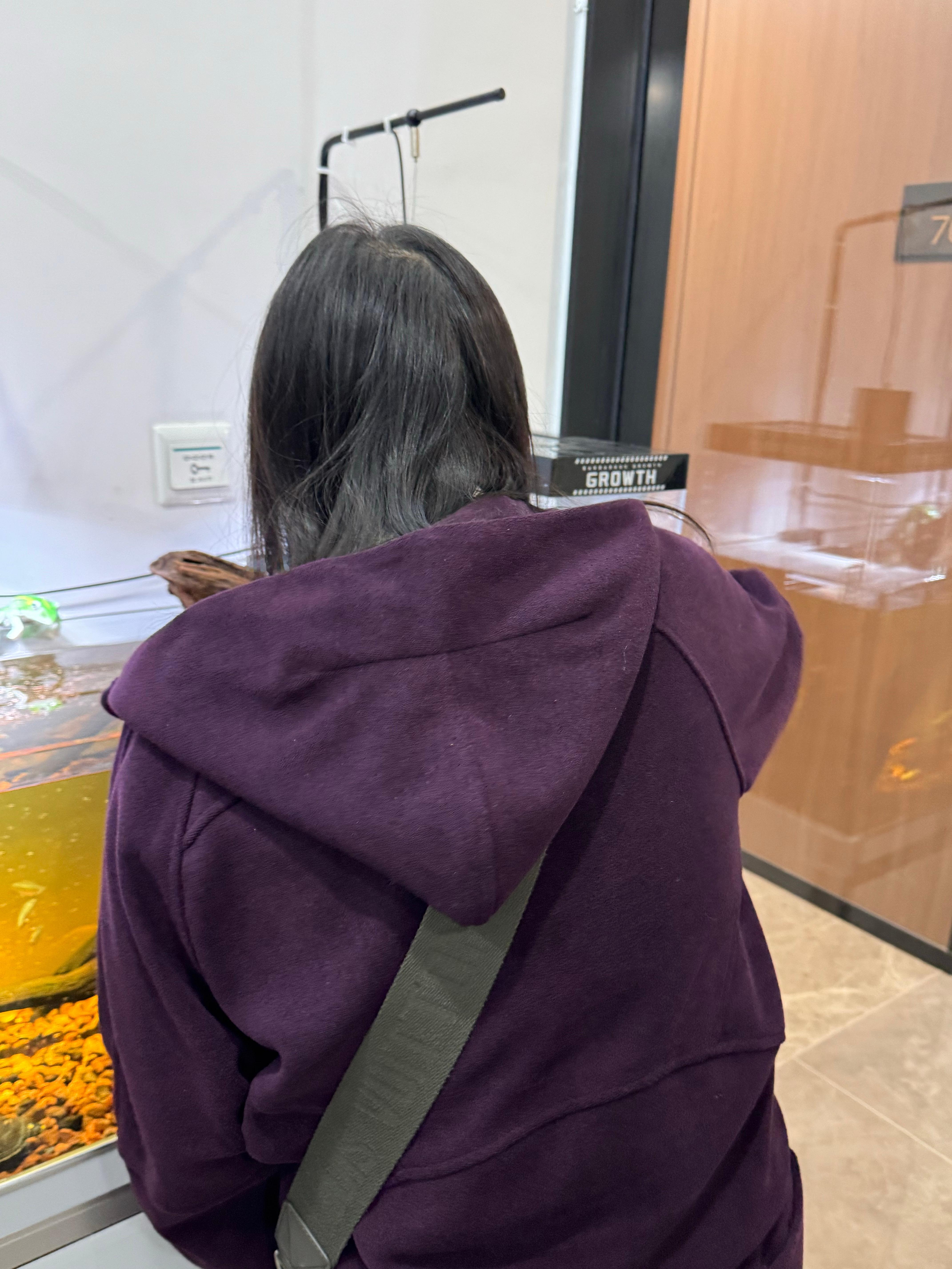 我朋友说带我去看她养的乌龟🐢非常可爱，结果刚看，死翘翘了