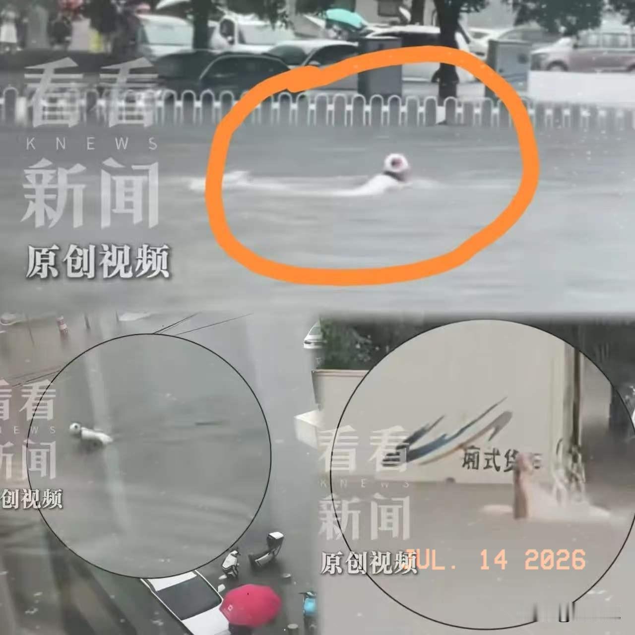 这下好了，不仅东北，连全国人民都知道了，谁能想到，面对暴雨，沈阳银不是囤粮囤水囤