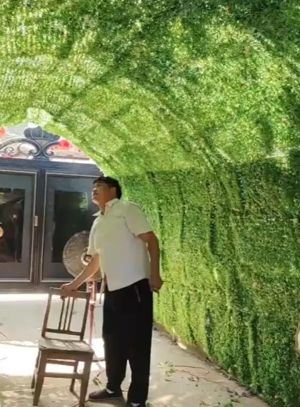 大衣哥朱之文多才多艺，繁忙的演出任务之外，还亲手安装制作了一个绿色长廊，简直太漂