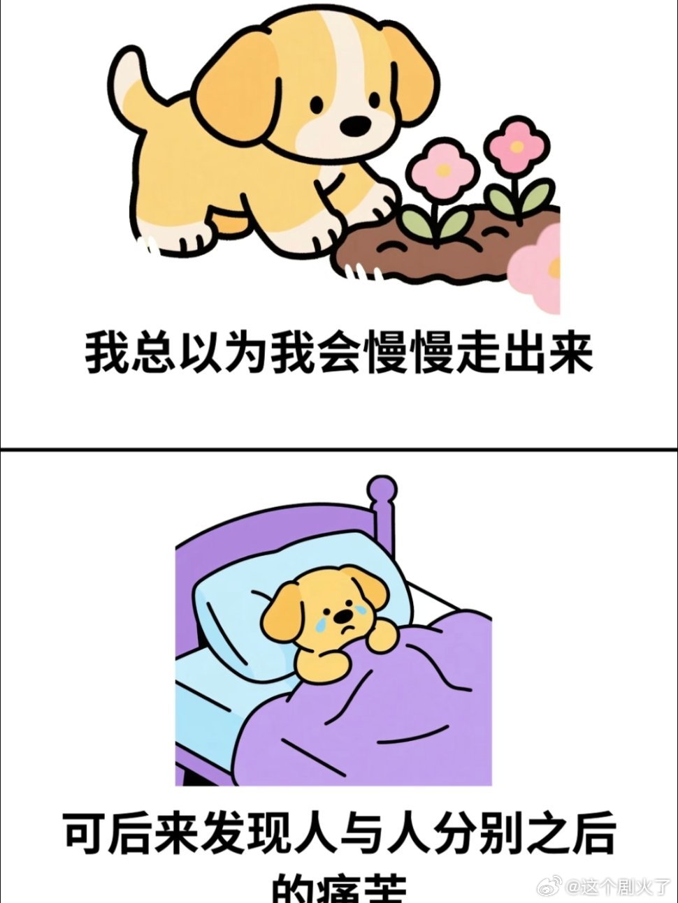 突然被这段话治愈了......新年迎喜番