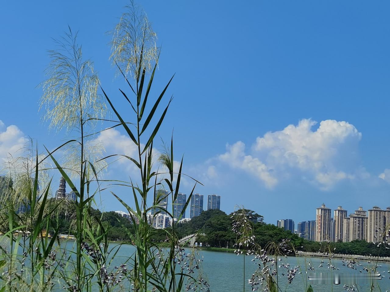 认亲后的第一个春节，许敏夫妇不辞舟车劳顿，背着大包小包奔赴驻马店，与郭威一