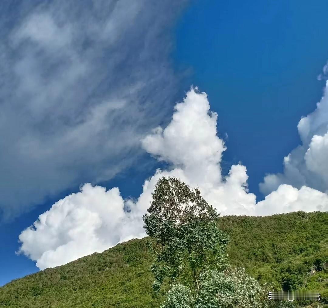 突然之间感觉我是不是又🐏了，头疼，发烧，嗓子疼，而且全身都疼，又是拉肚子，就连