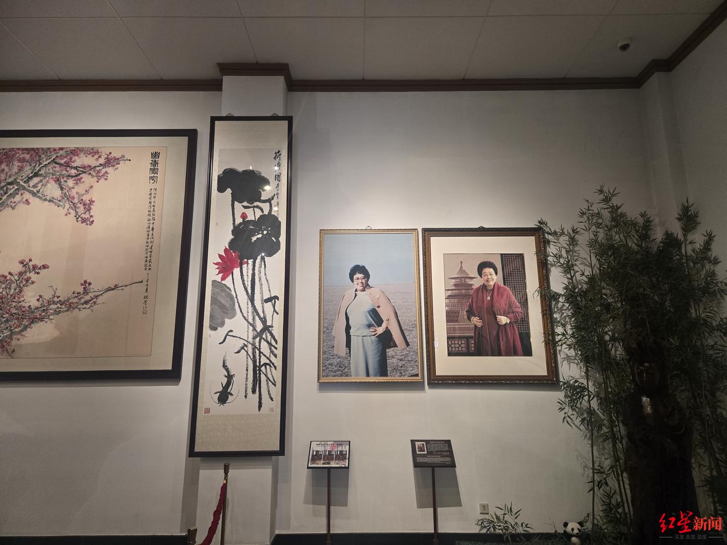 馆长陈丽华去世, 媒体实探中国紫檀博物馆: 今日免票参观