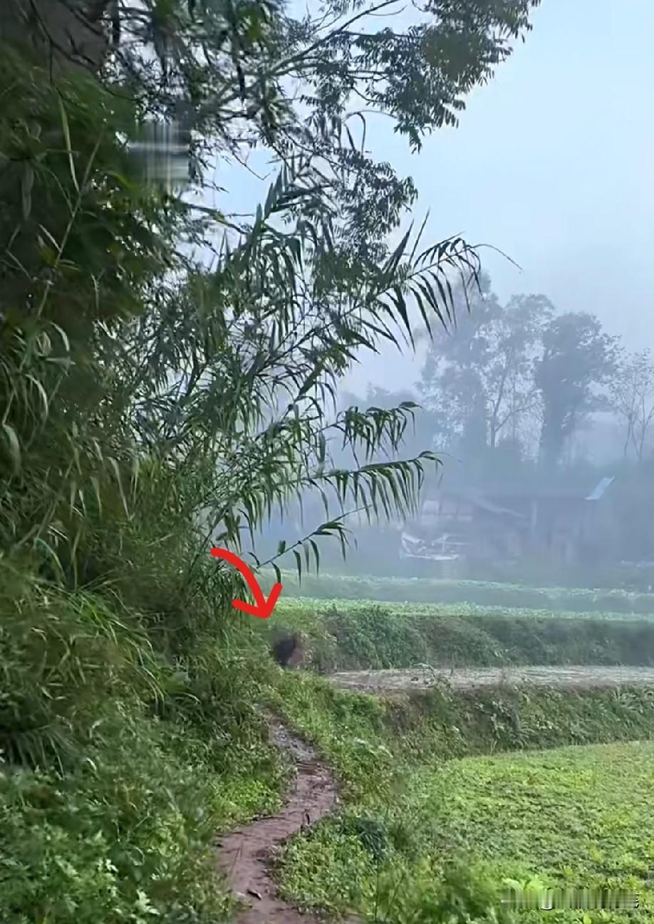 这么早就起来干活了