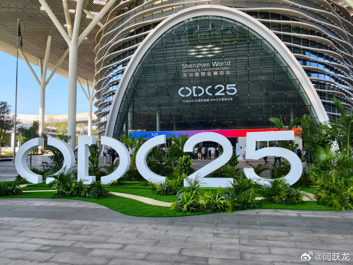 coloros很会玩啊，青春活力coloros16​​​