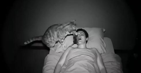 男子经常投喂一只流浪猫，这两天因为感冒发烧浑身疼躺在家里休息没有去喂它。流浪猫来