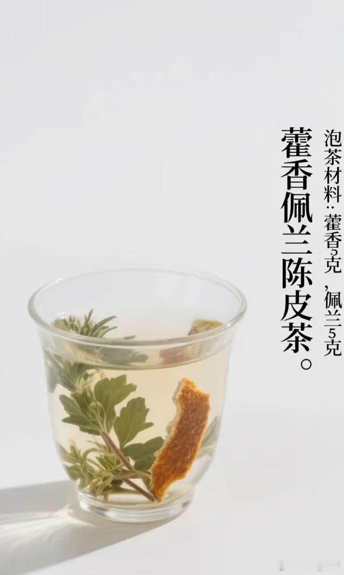 藿香佩兰陈皮茶泡茶材料:藿香5克，佩兰5克，陈皮3克。泡茶方法:将藿香、佩兰、