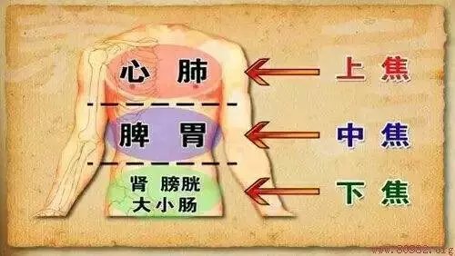喝凉水都会长肉? 肥胖与体质又有什么关系?