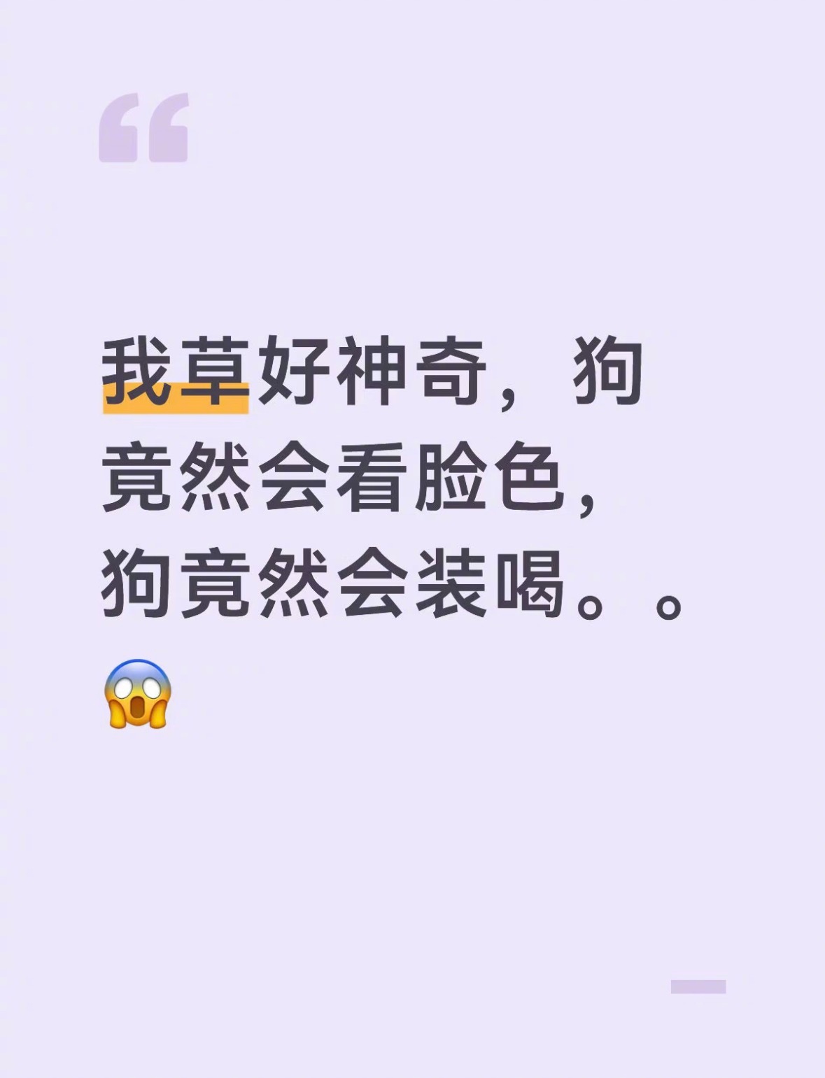 小狗竟然会看人脸色