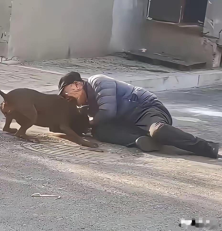 死了几条狗，被判了四年！如果狗主人给狗戴上嘴套也不至于此，具体拴没拴绳就更不好说