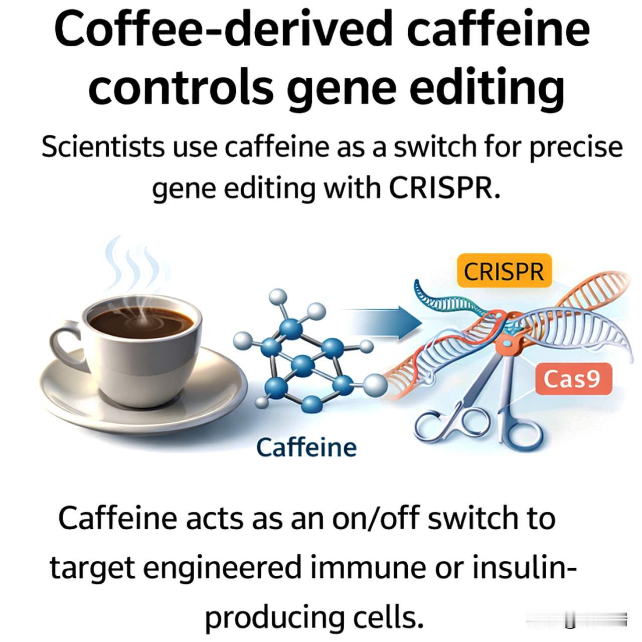 美国科学家利用咖啡中的咖啡因来控制基因编辑。德克萨斯大学的科学家们开发出一种