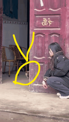 到底谁是狗？到底谁耍弄了谁？