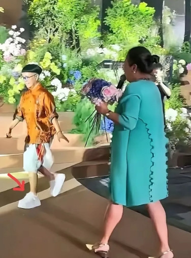 终于弄明白​金龟子要在女儿婚礼上穿大裤衩了不是因为想要与众不同，而是金龟子她