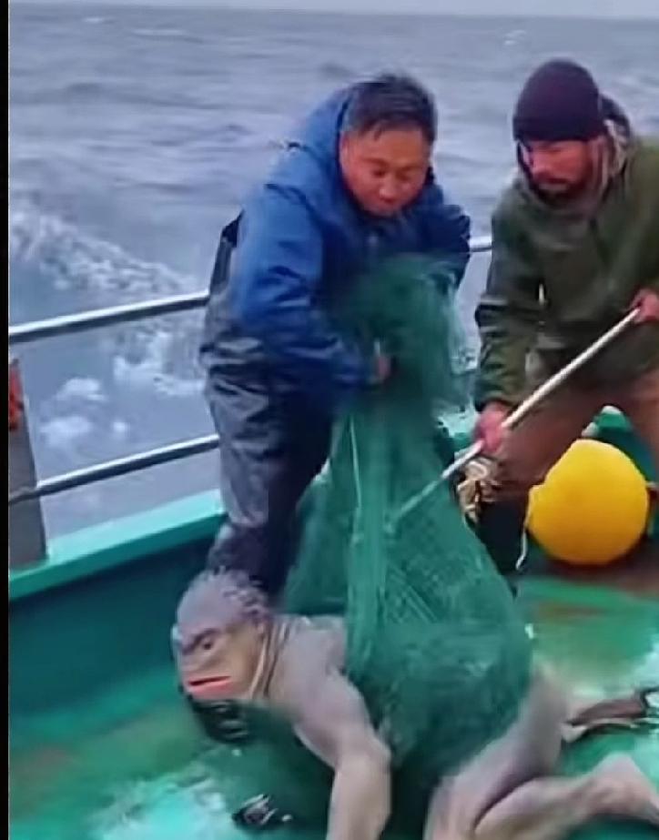 渔民在海里捕获了一只蛙类生物，脚掌像青蛙，头和四肢与人相似，你见过吗？