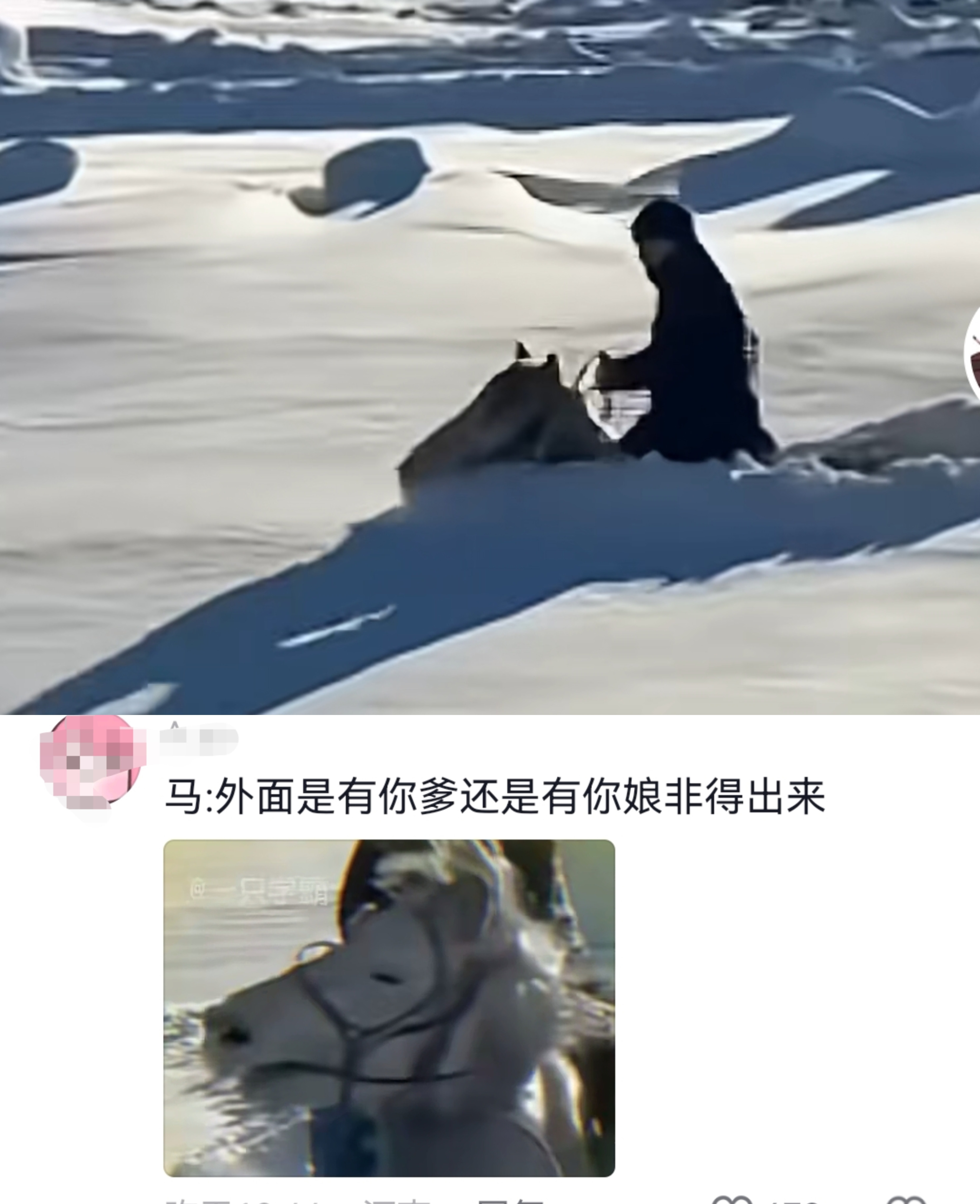 马:待会不是你死，就是我活