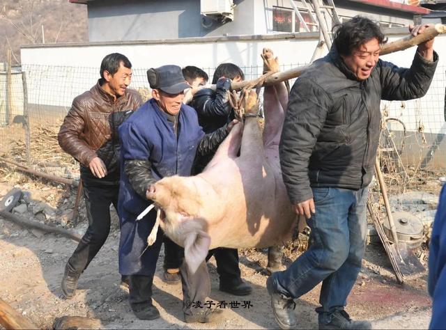 那年婆家杀年猪, 嫂子坐着不动分到排骨, 我忙前忙后只拿到肥肉