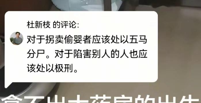 杜新枝说，“对于拐卖偷婴者应该处以五马分尸，对于陷害别人的人也应该处以极刑”。