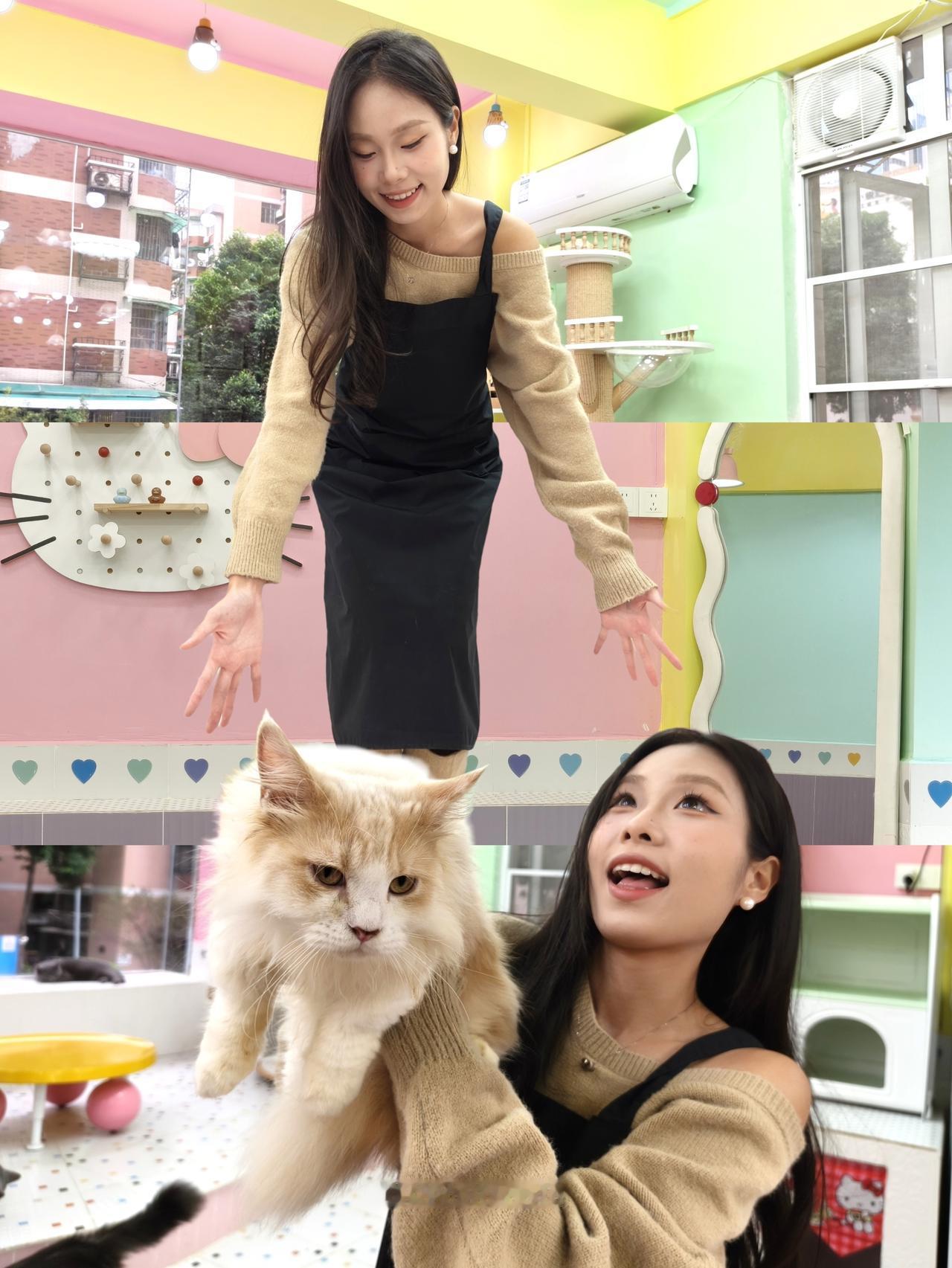 一发就被追着问！今年铲屎官必学的出圈live喵啊妙啊！现在live实况照片都