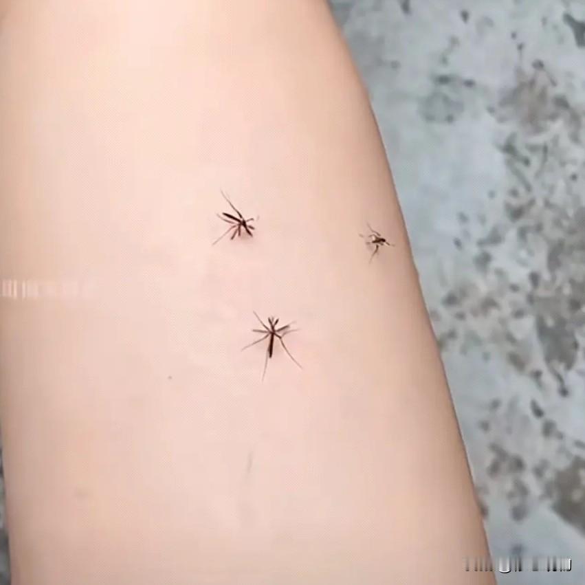 激光灭蚊炮，真的是“环保黑科技”吗？真相没那么简单夏天一到，蚊子