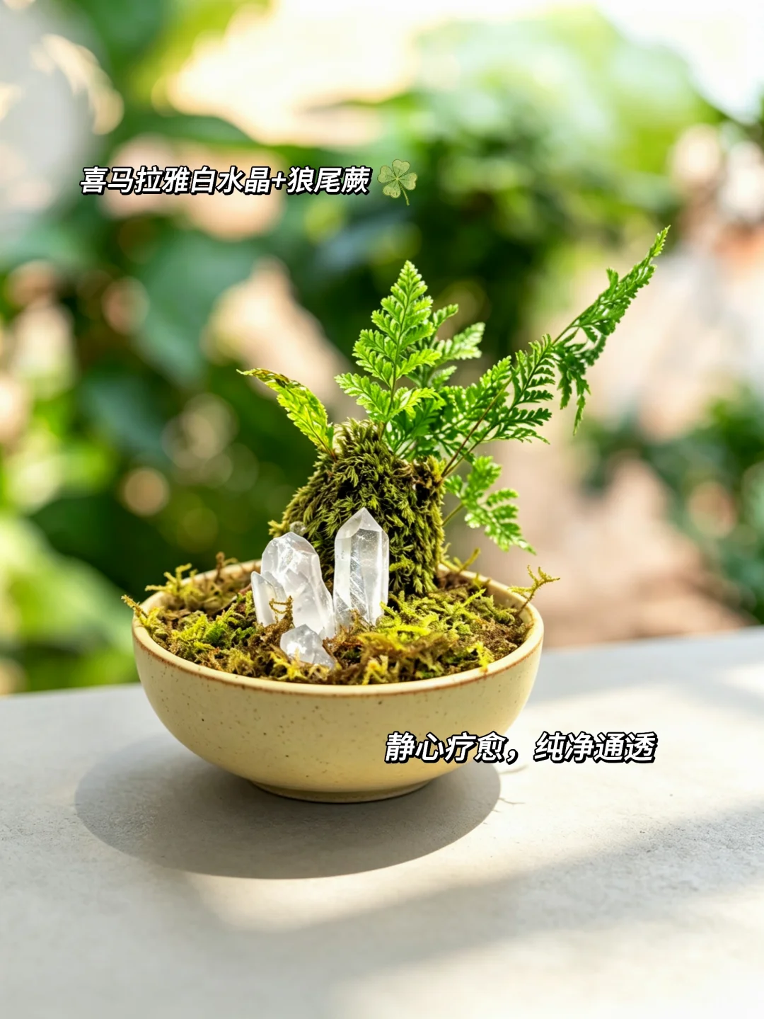 怎么会有这么美的小盆栽～