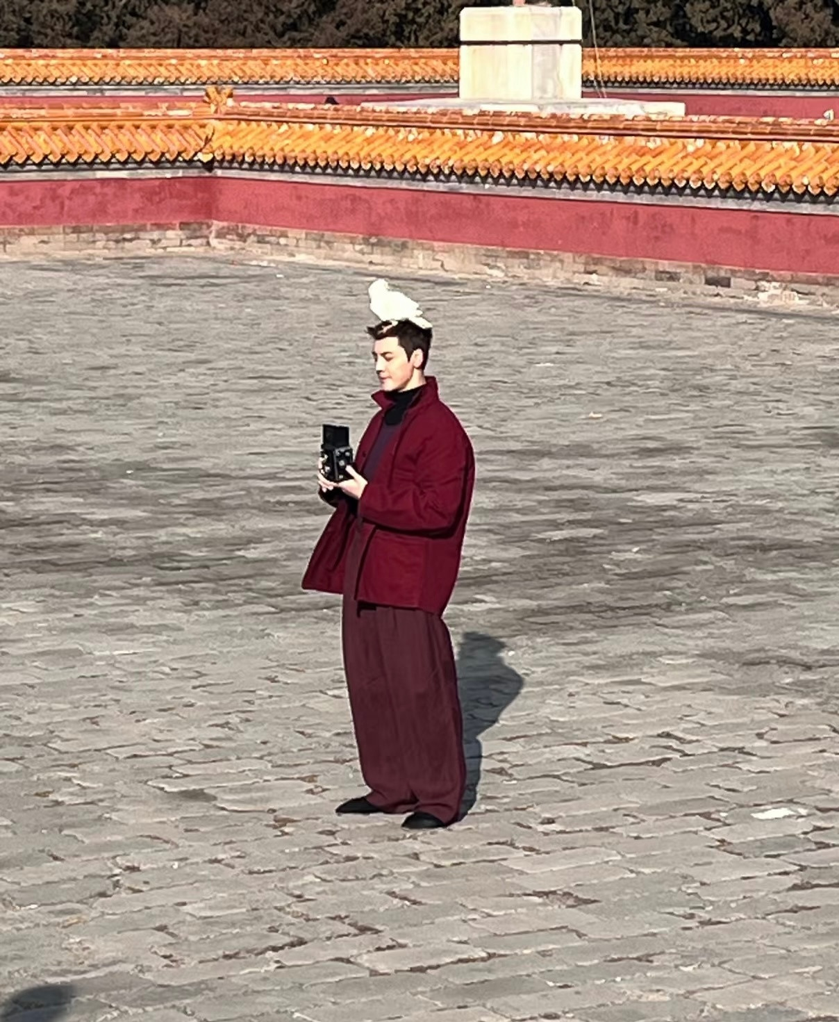 这个陈伟霆完全萌物啊网友地坛偶遇陈伟霆拍摄