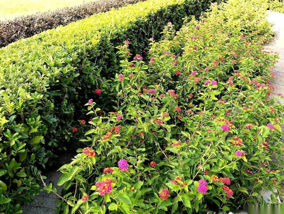 最寒心的事儿莫过于此了吧。把他亲手带出来的徒弟，一脚把他踹出了技术部。美其名