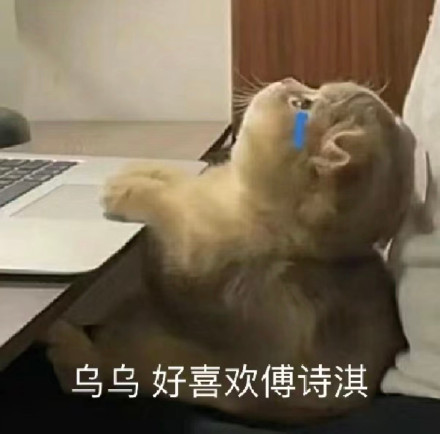 呜呜呜，好久没见傅诗淇了……