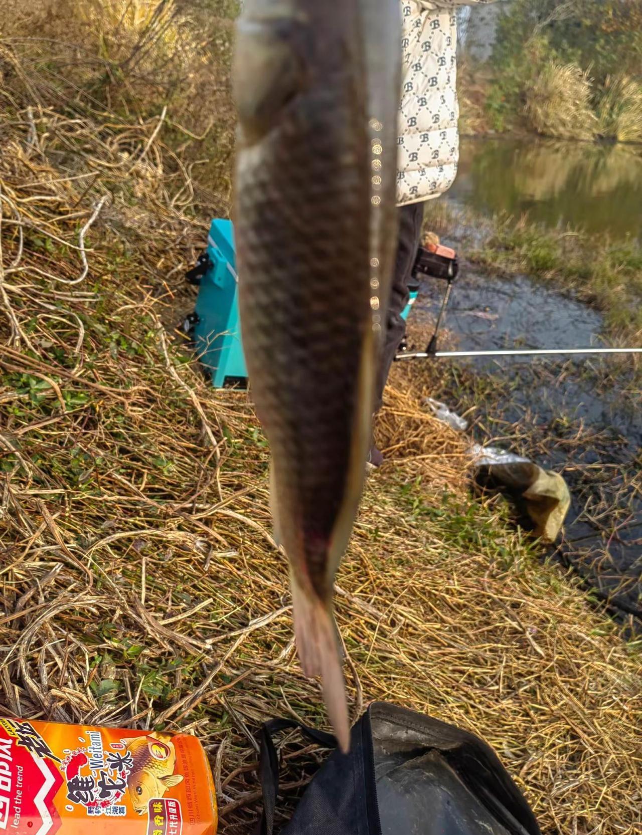 10后最火的户外活动，不是滑板不是露营。是握着鱼竿在水边一动不动。上周水库边