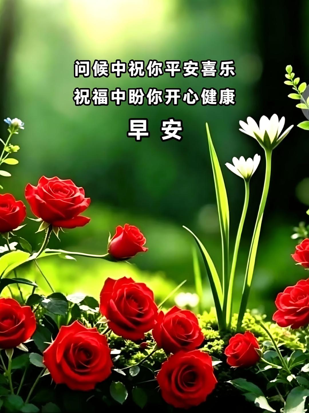 ✨浅浅的晨光里，写满了对老友真挚的挂念。崭新的一天里，把所有不顺心的小情绪都打包