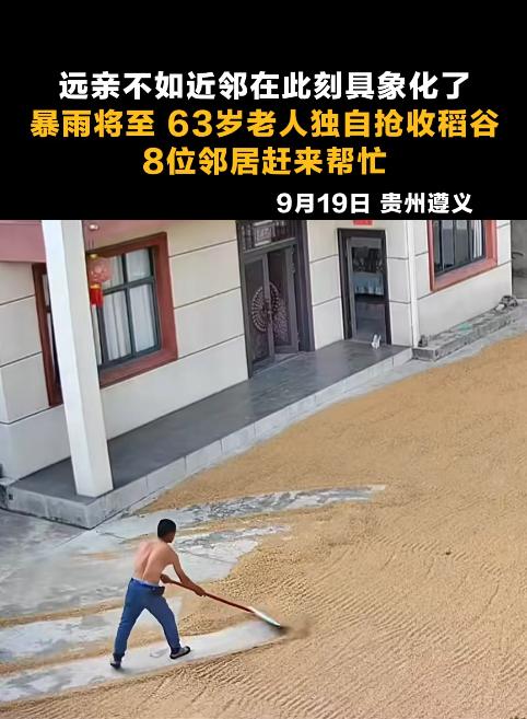 近日，暴雨将至，女子关心家里晾晒的粮食，就打开监控查看，不看不知道，一看更担心了